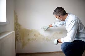 Best Real Estate Mold Inspection  in Fort Calhoun, NE